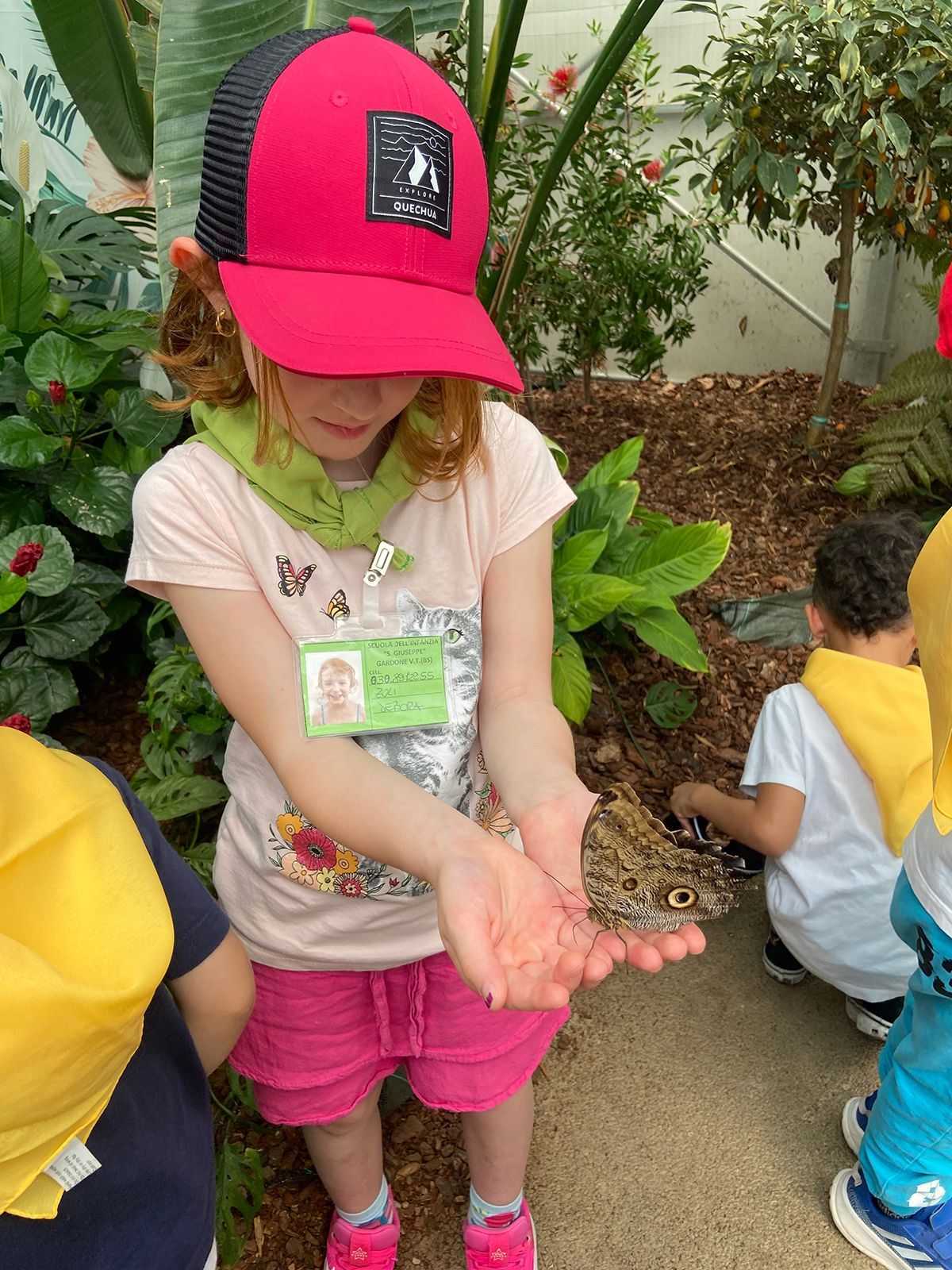 visite scolastiche casa delle farfalle