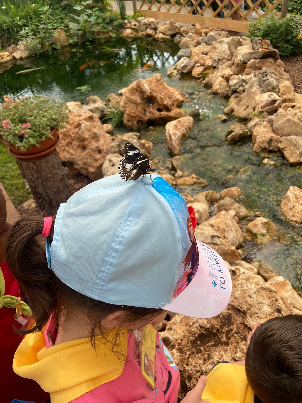 visite scolastiche casa delle farfalle