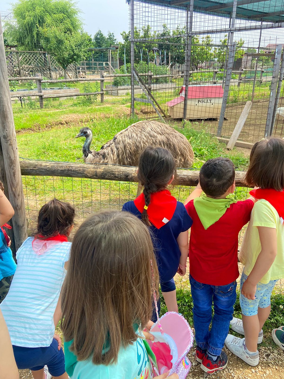 visite scolastiche fattoria didattica