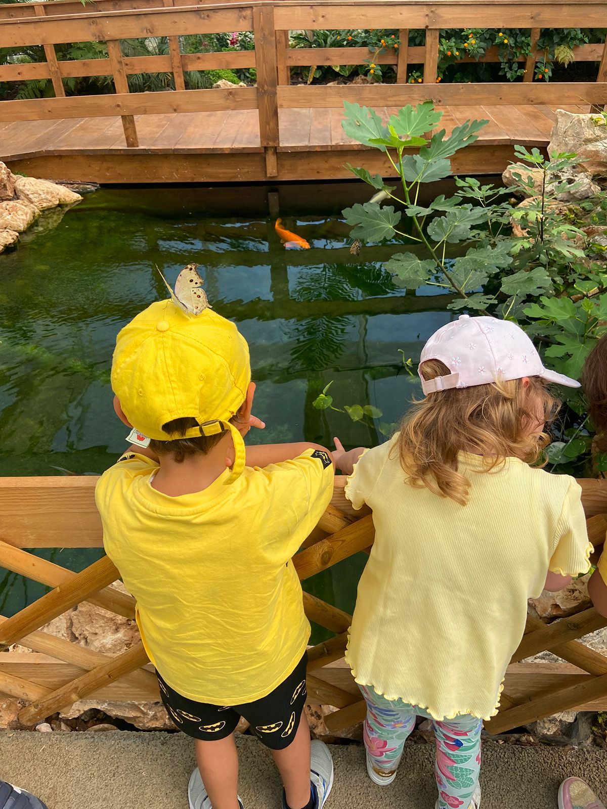 visite scolastiche casa delle farfalle