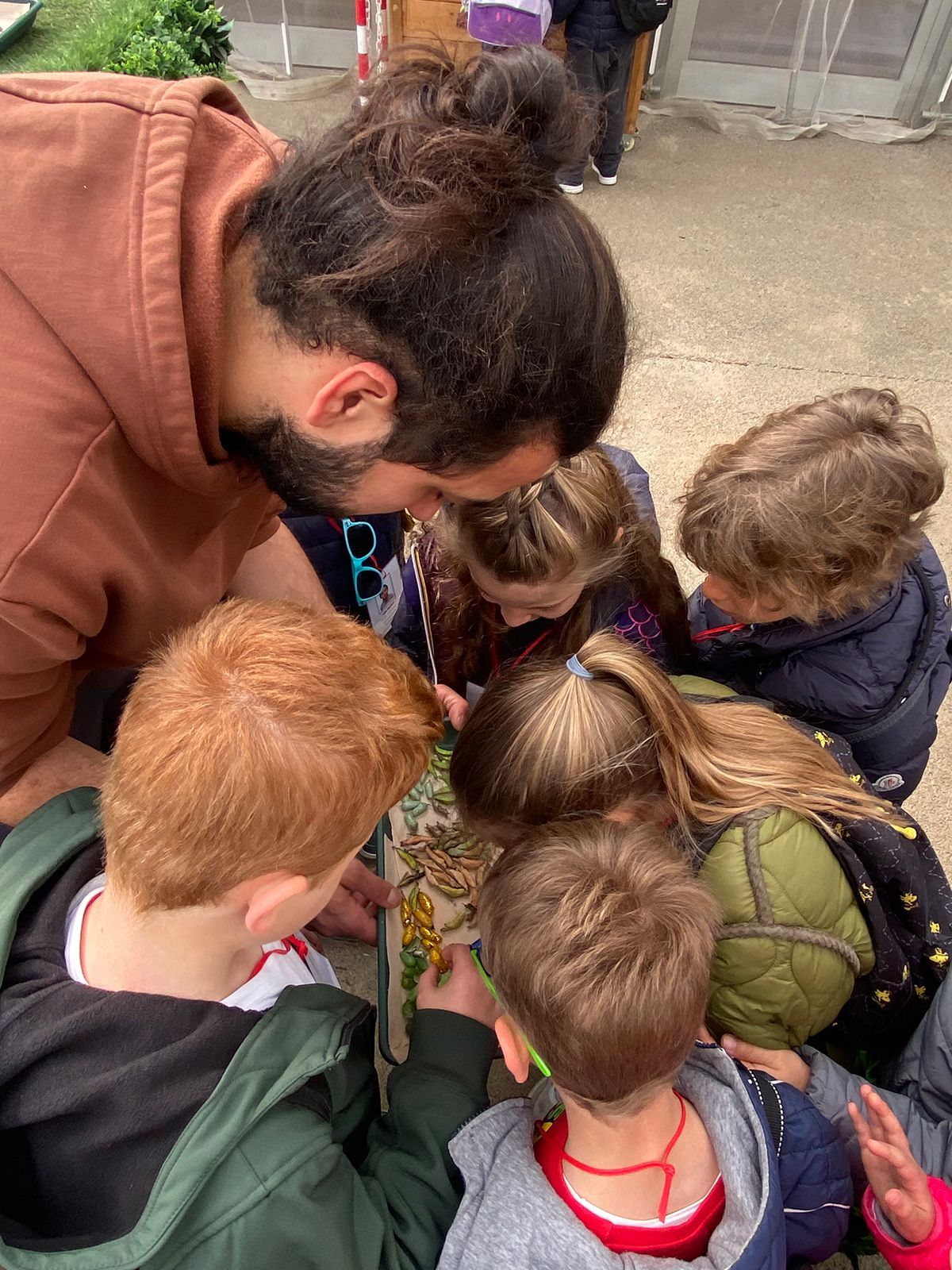 visite scolastiche casa delle farfalle