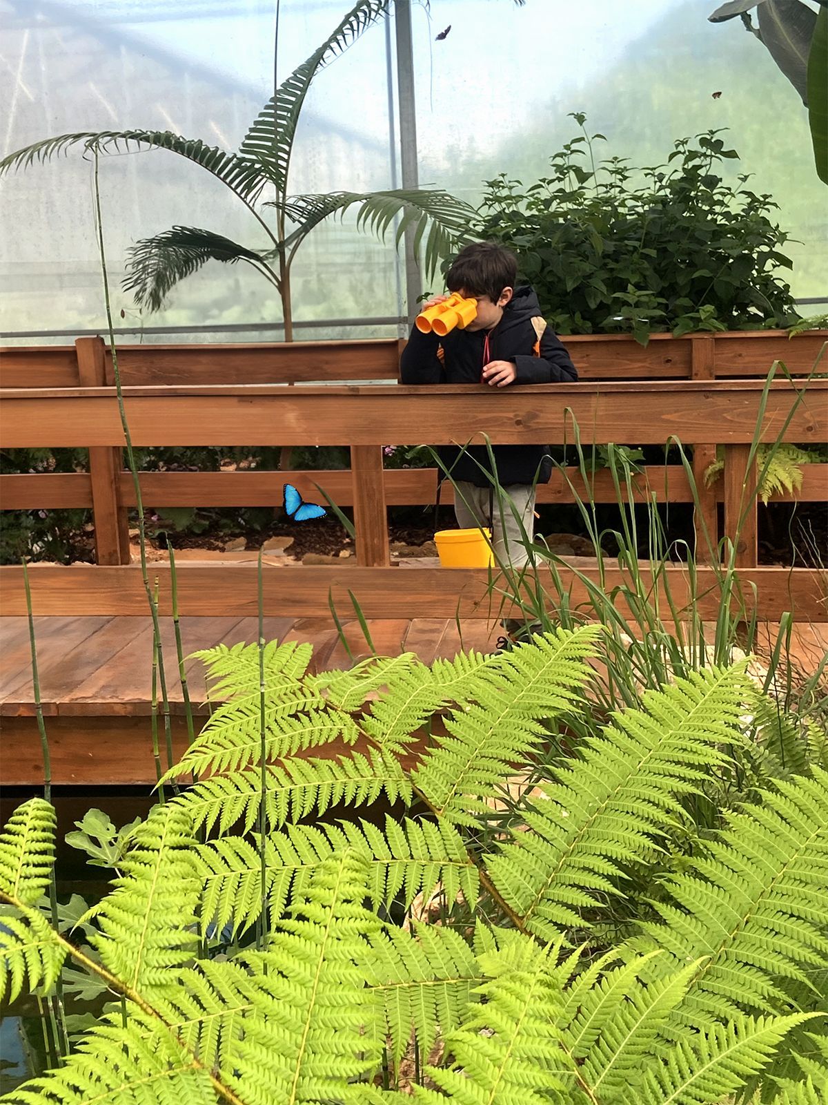 visite scolastiche casa delle farfalle