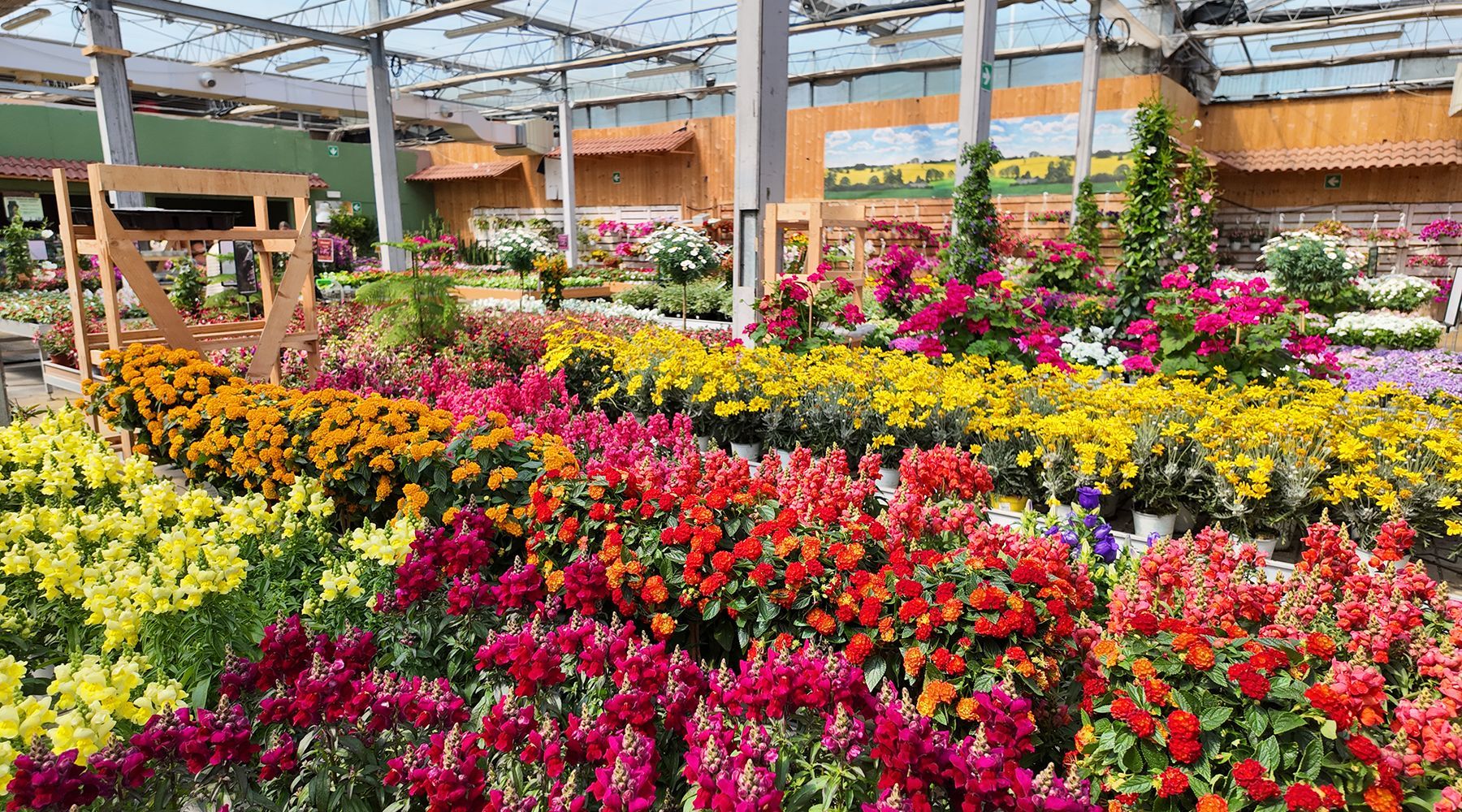 piante stagionali: primavera