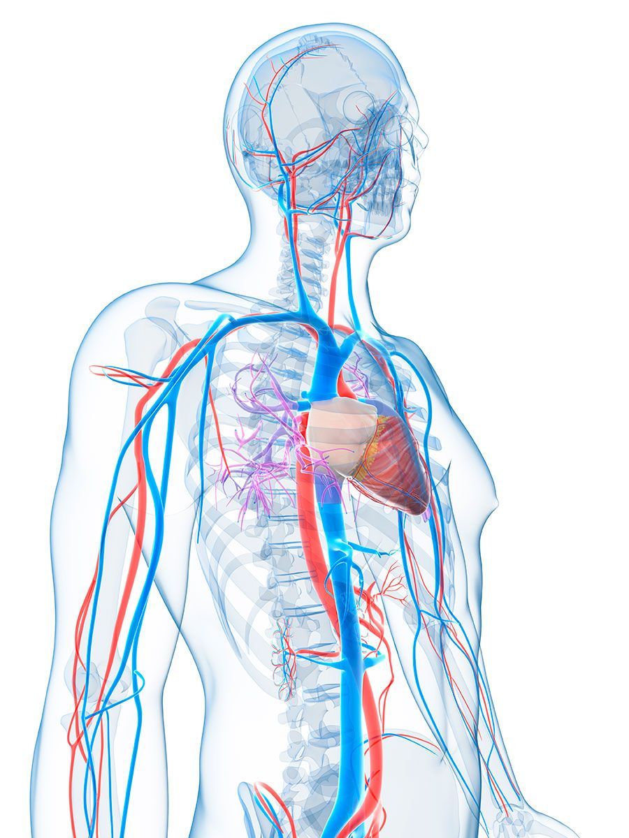 DR. ELOY SANTILLANO GÓMEZ