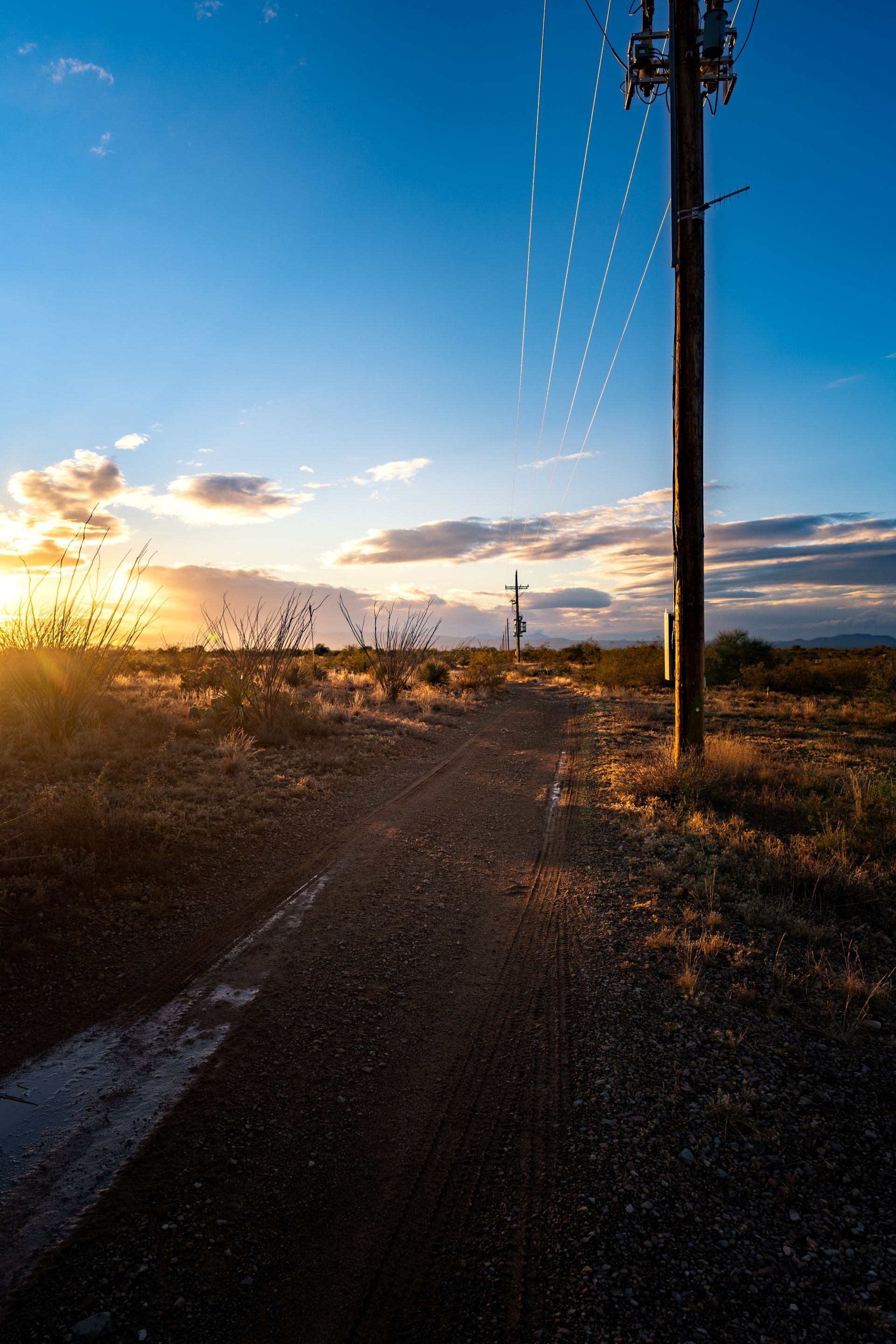 A telephone pole in the middle of a dirt road at sunset.