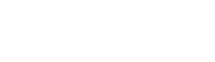 euro asian auto service mechanic Logo