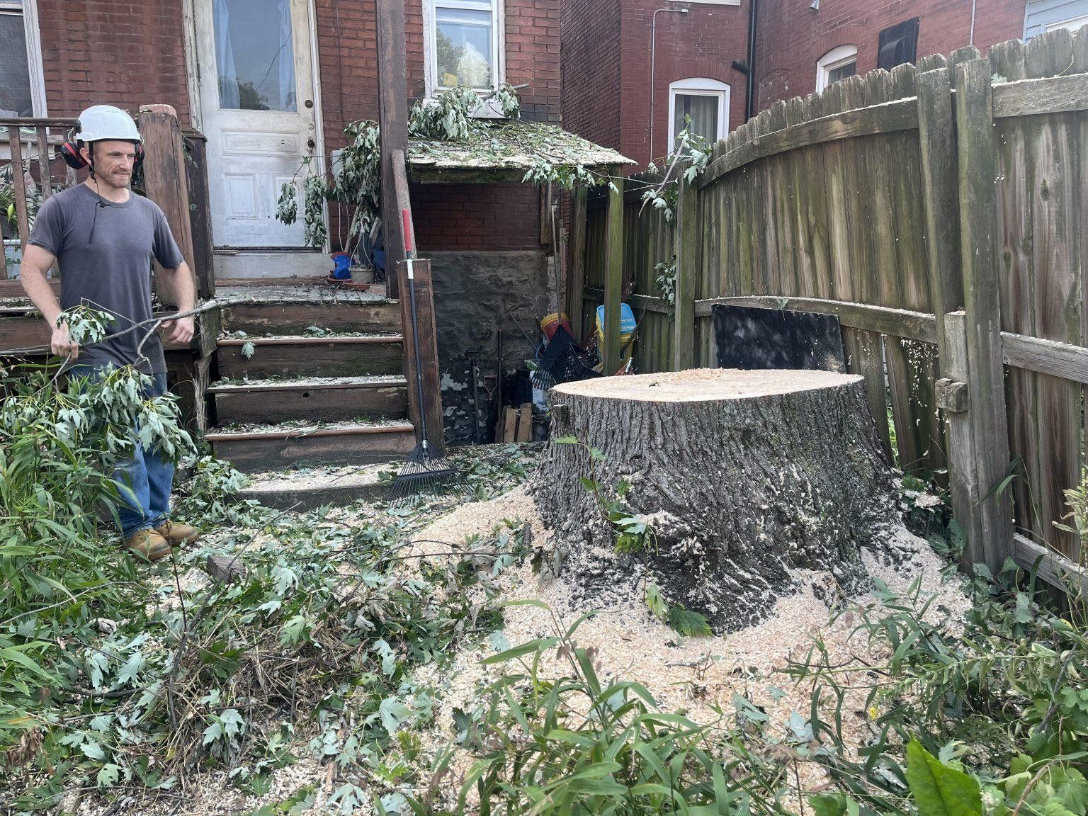 A man is standing next to a large tree stump in a backyard.