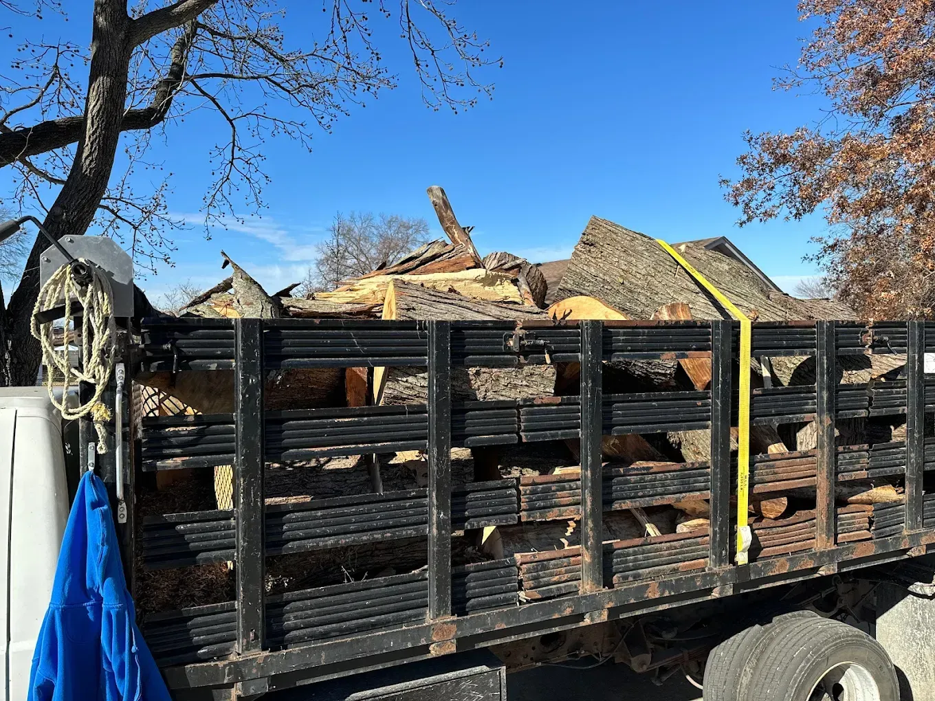 A truck is loaded with logs and a tree in the background
