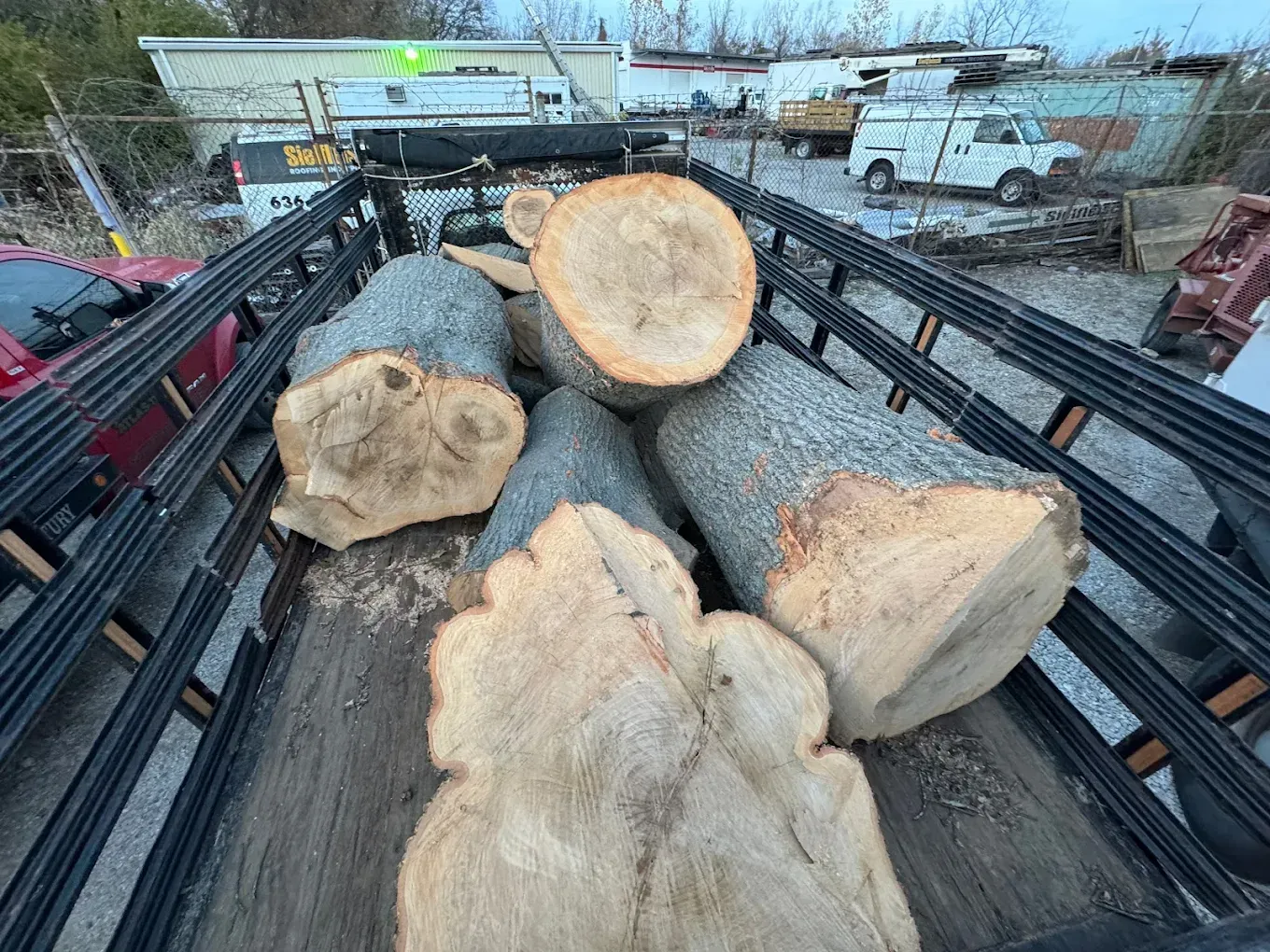 A bunch of logs are in a truck bed