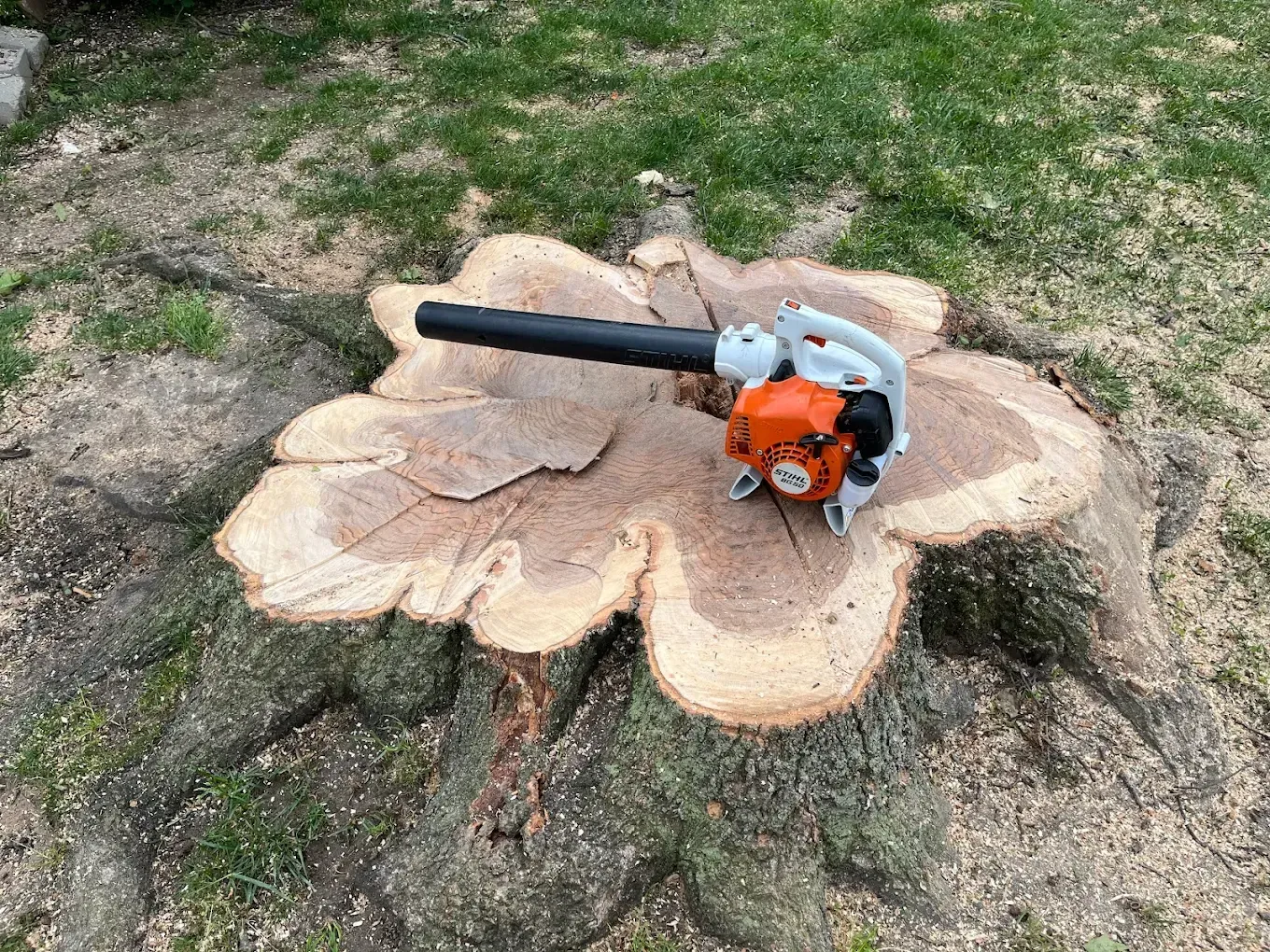 A chainsaw is sitting on top of a tree stump.