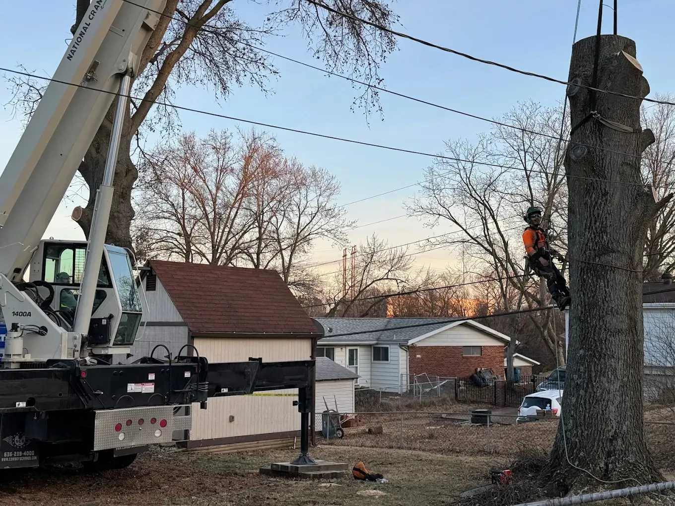 A man is climbing a tree with a crane in the background