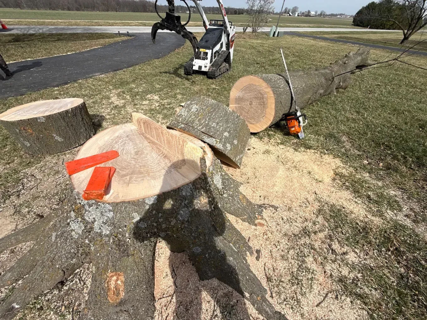 A person is cutting a tree stump with a chainsaw.