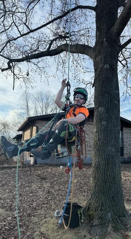 A man is climbing a tree with a rope.