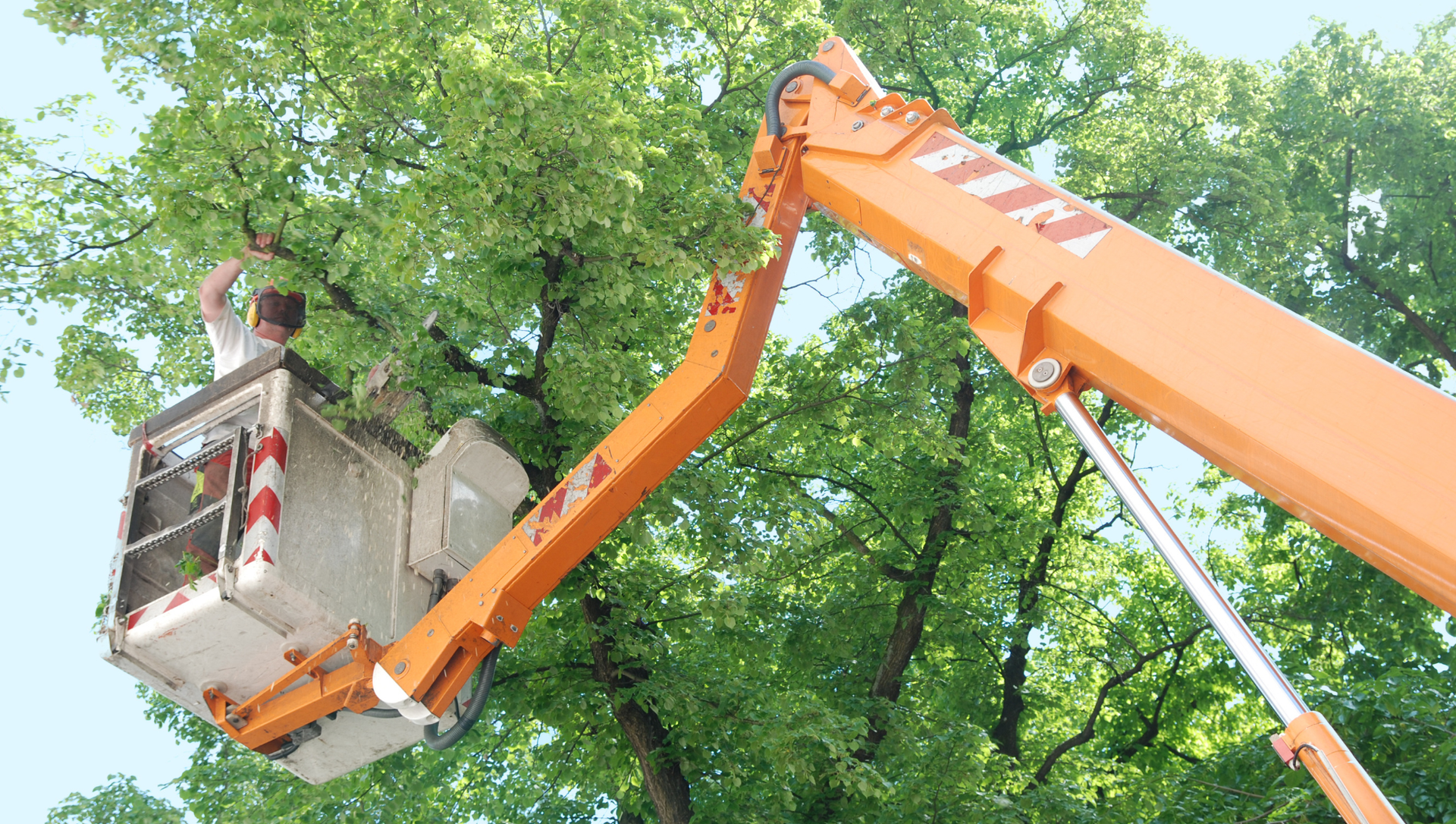 A man is working on a tree with an orange crane.
