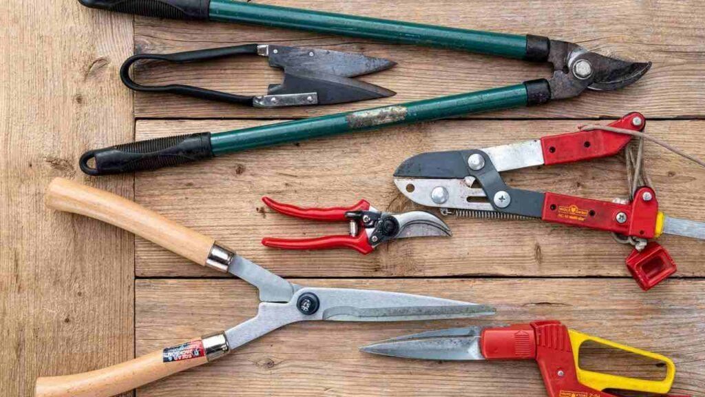 A bunch of gardening tools are sitting on a wooden table.