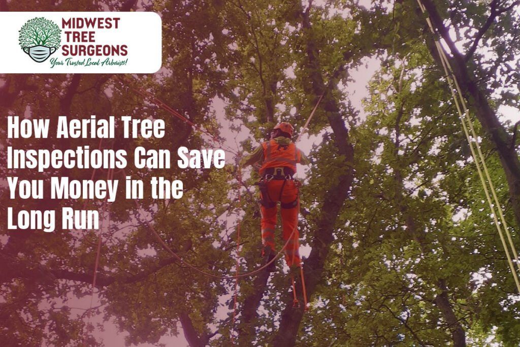 A man is hanging from a tree with the words how aerial tree inspections can save you money in the long run
