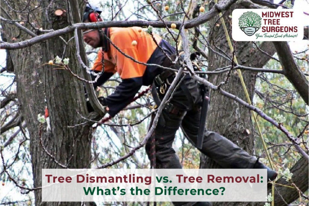 A man is cutting a tree with a chainsaw.