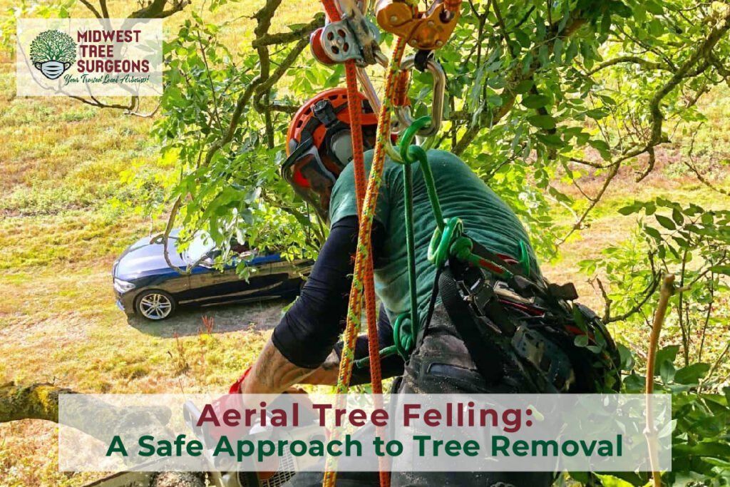 Aerial tree felling : a safe approach to tree removal