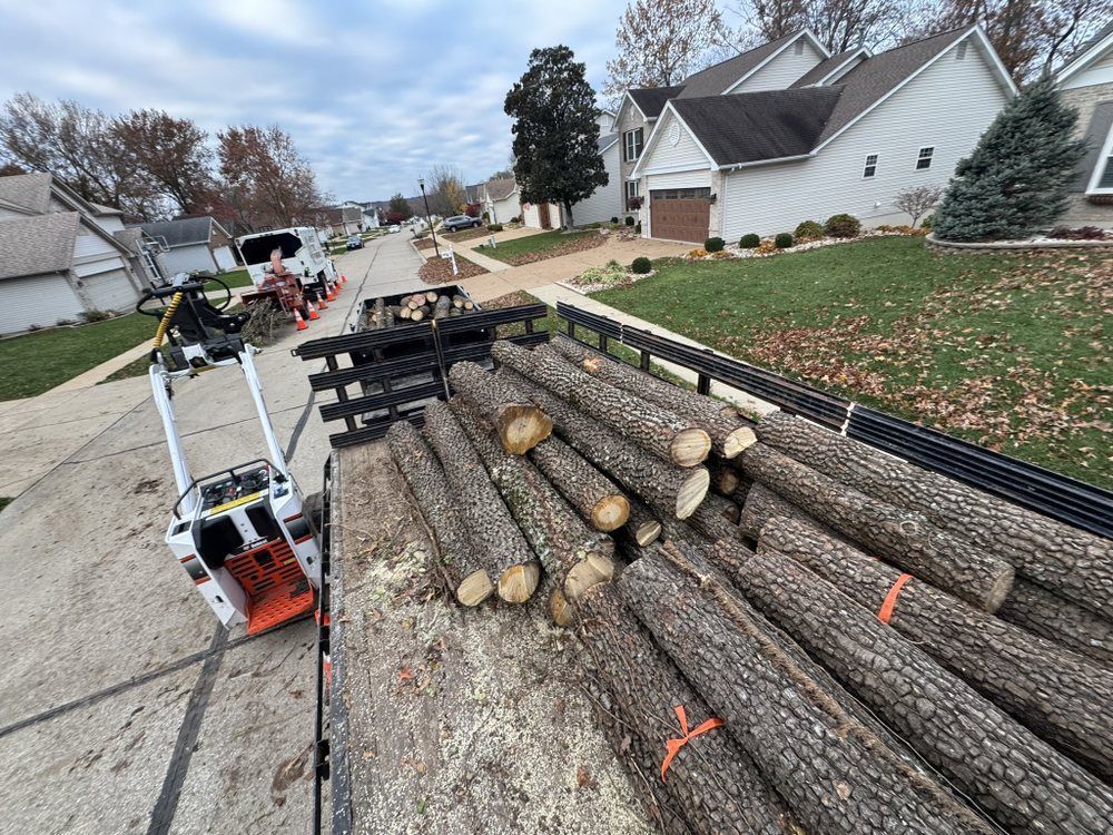 A pile of logs is on the back of a truck.