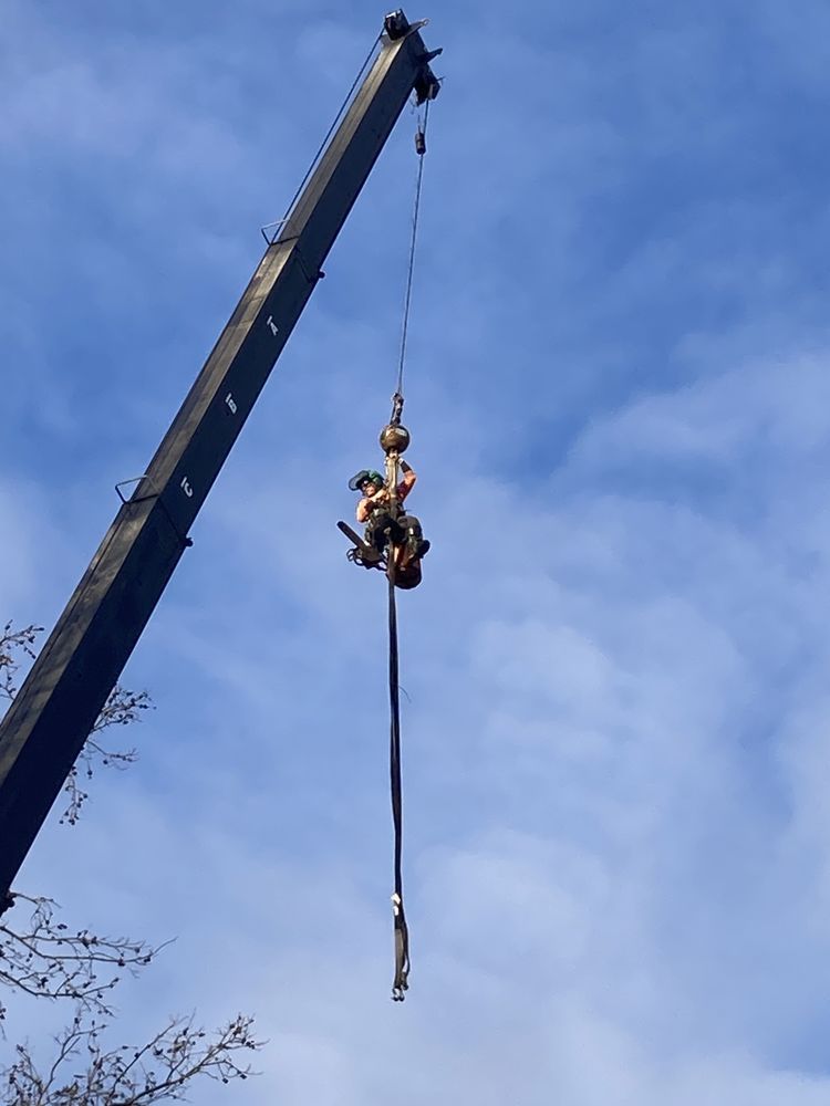 A man is hanging from a crane in the sky