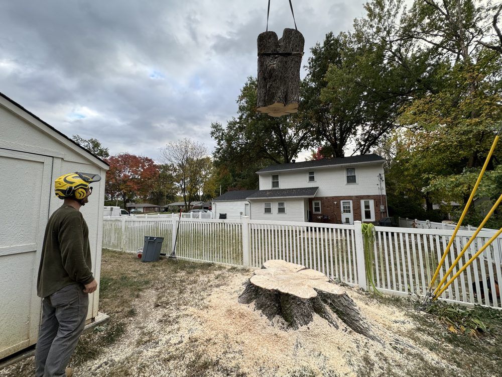 A man is standing next to a tree stump in front of a house.