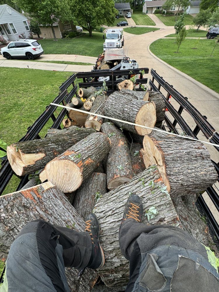 A person is standing in the back of a truck filled with logs.