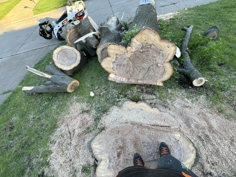 A person is standing next to a tree stump.