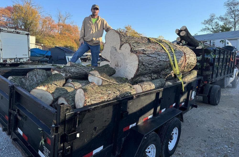 A man is standing on a trailer filled with logs.