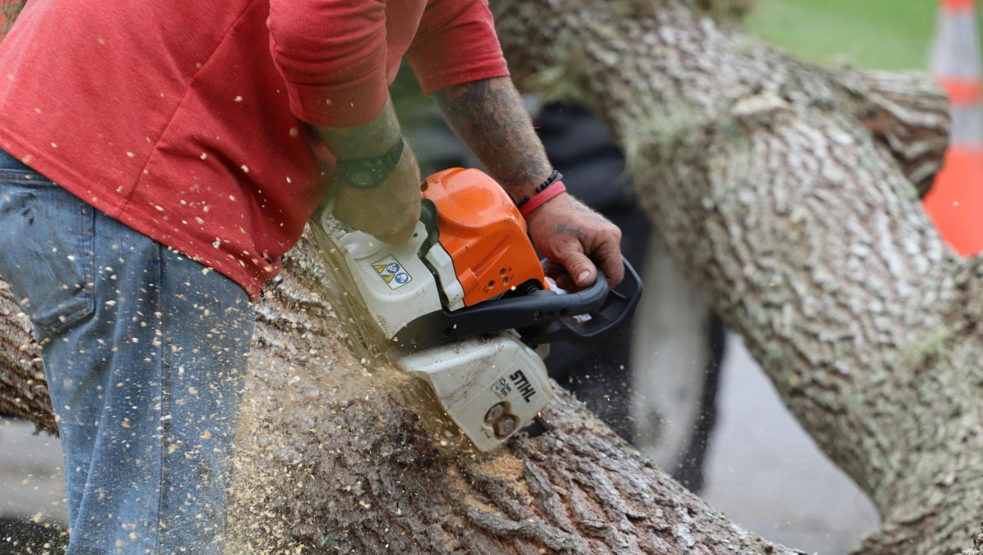 A man is cutting a tree branch with a chainsaw.