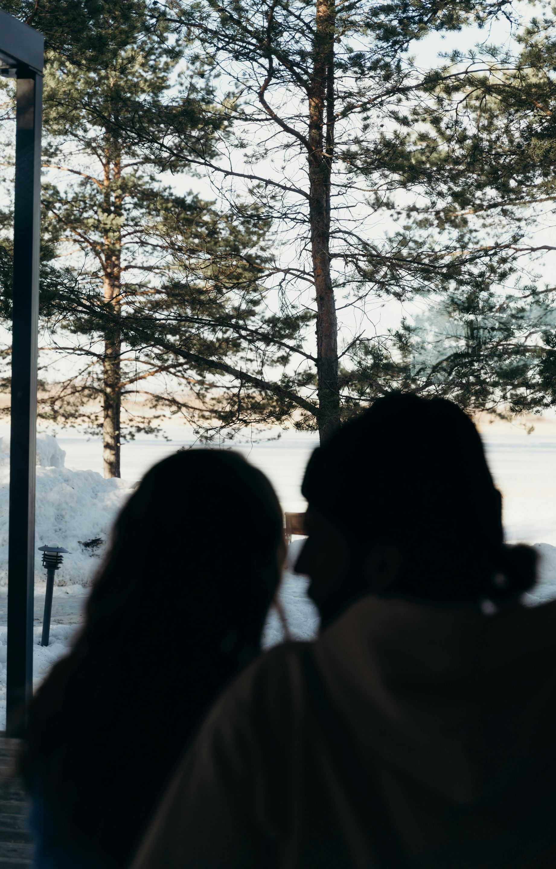 Two silhouetted figures, a person with long hair and another with a hoodie, stand in front of a window overlooking a snowy landscape with trees.