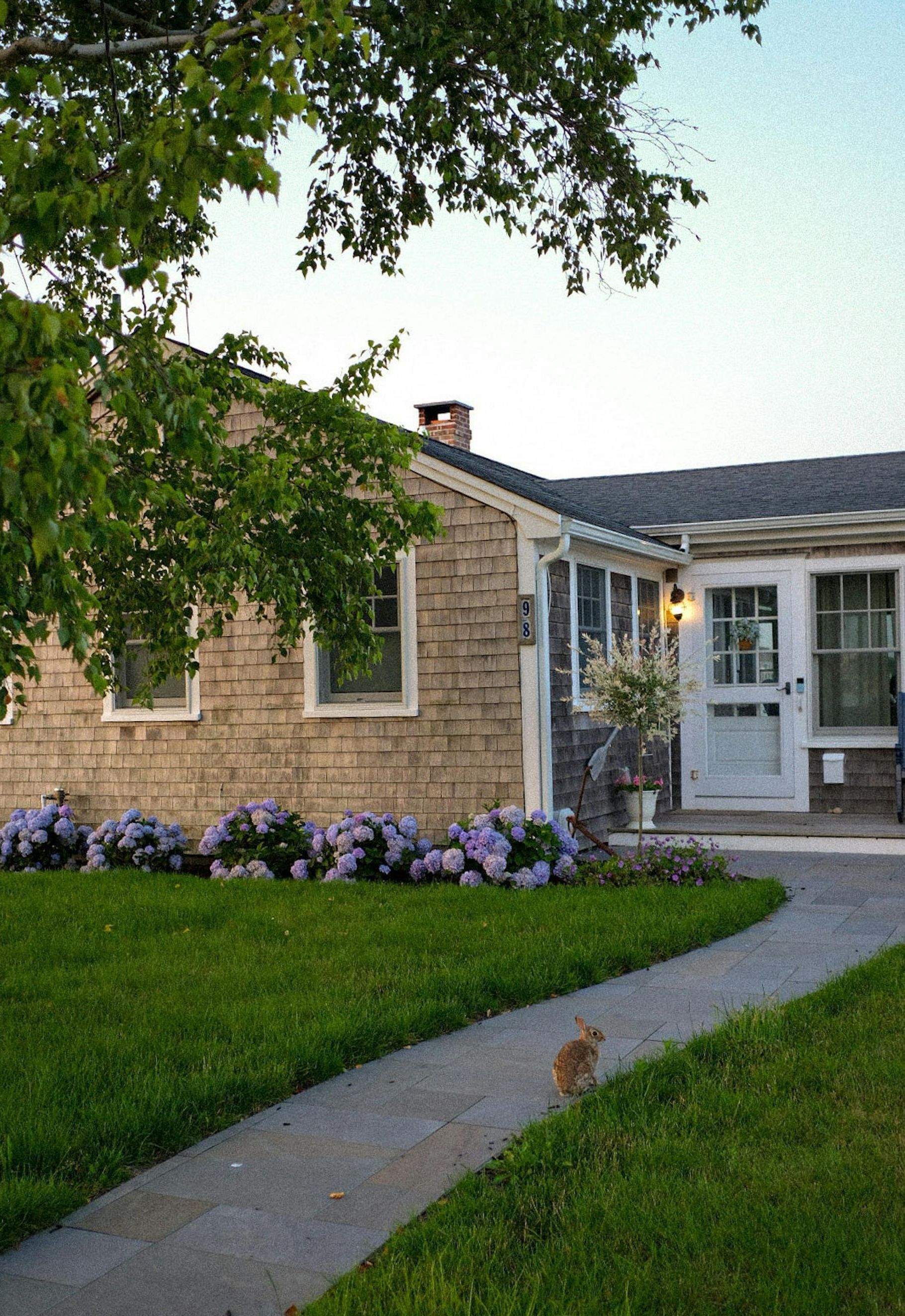 A house with a cat standing in front of it