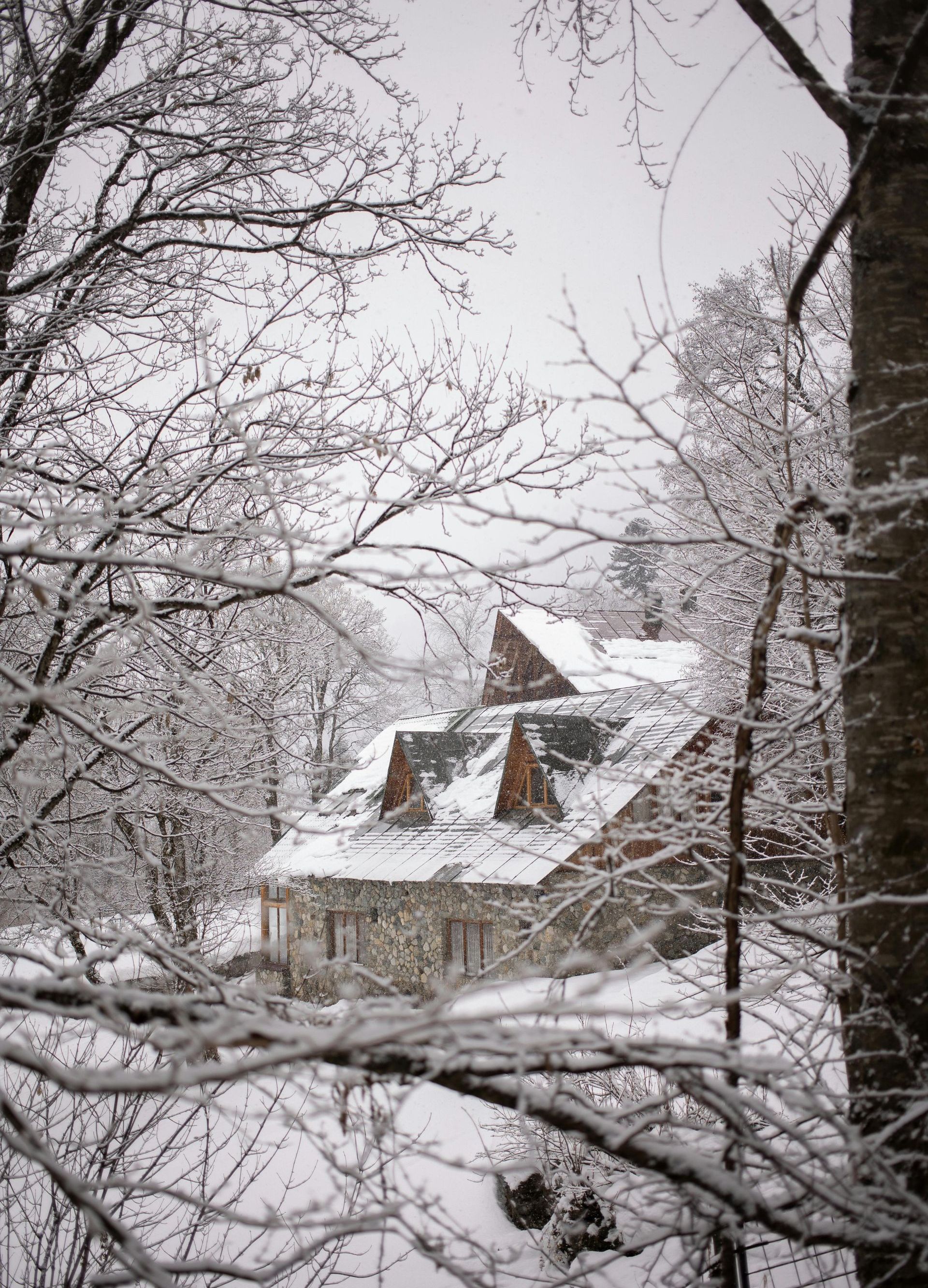 Snow-covered house nestled in a snowy forest, framed by bare winter tree branches.