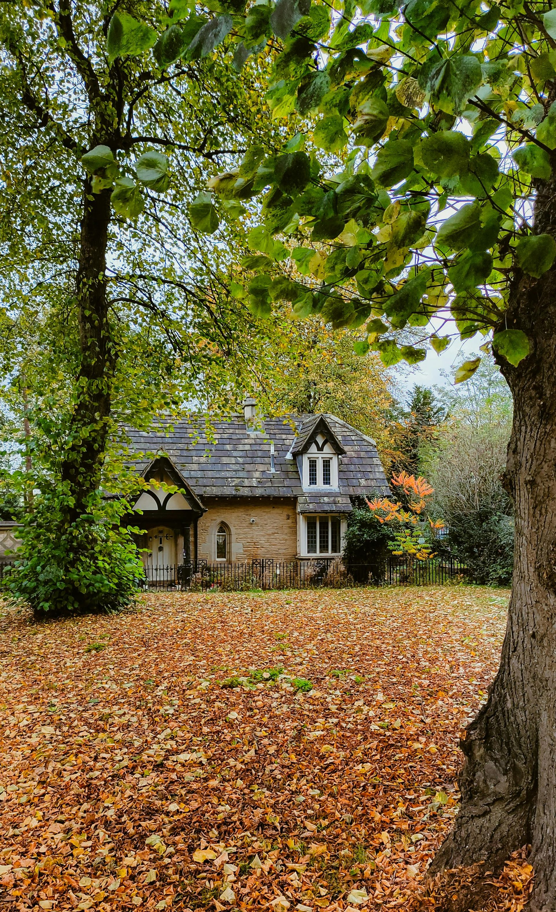 Cottage with a stone facade surrounded by fallen leaves under trees in autumn.