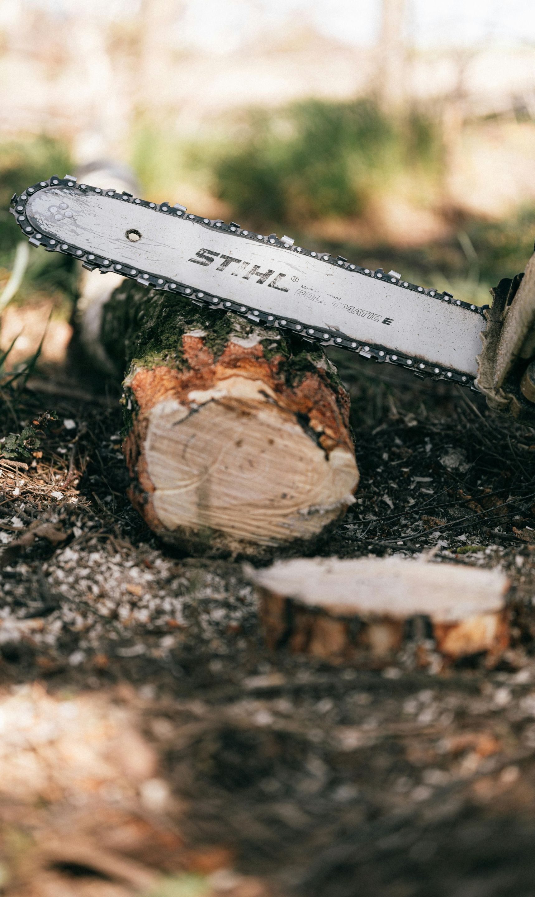 A chainsaw is cutting a piece of wood on the ground.