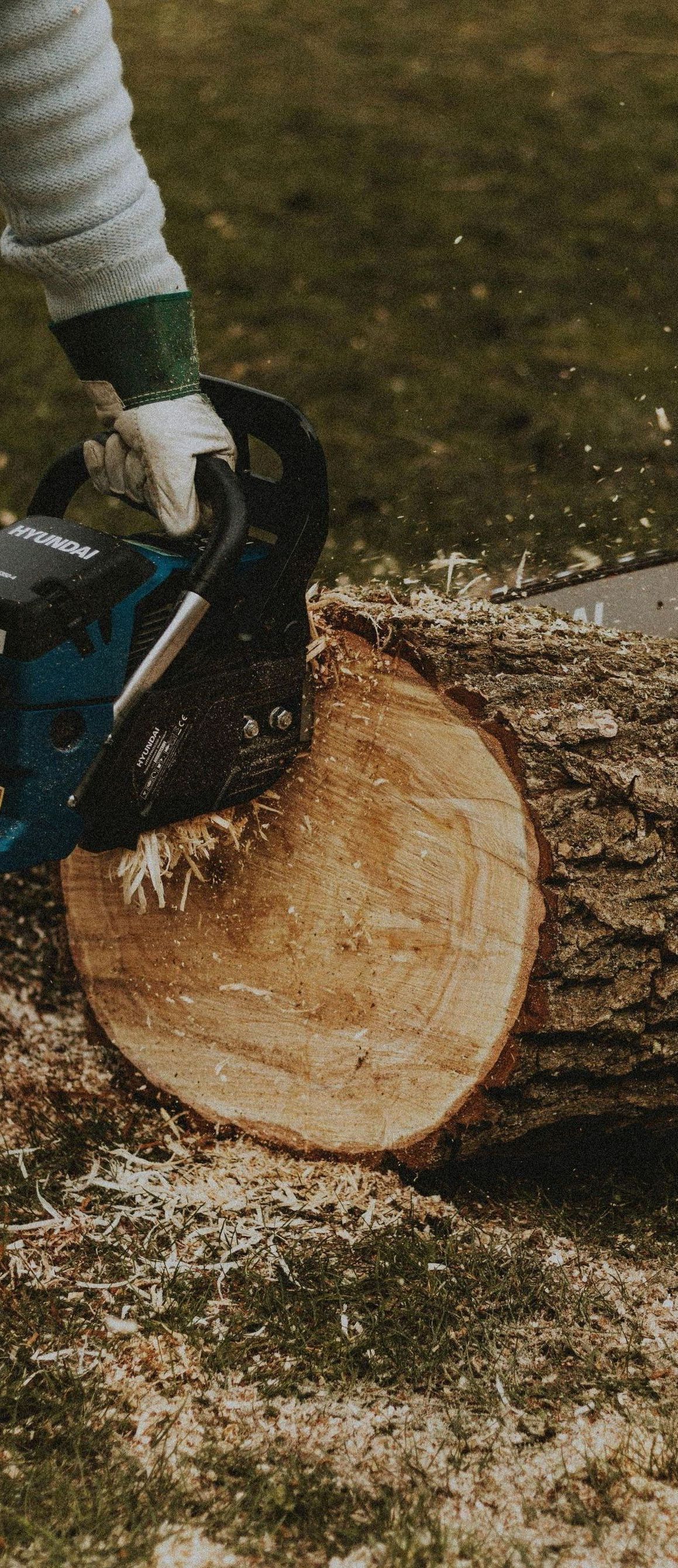 A person is cutting a log with a chainsaw.