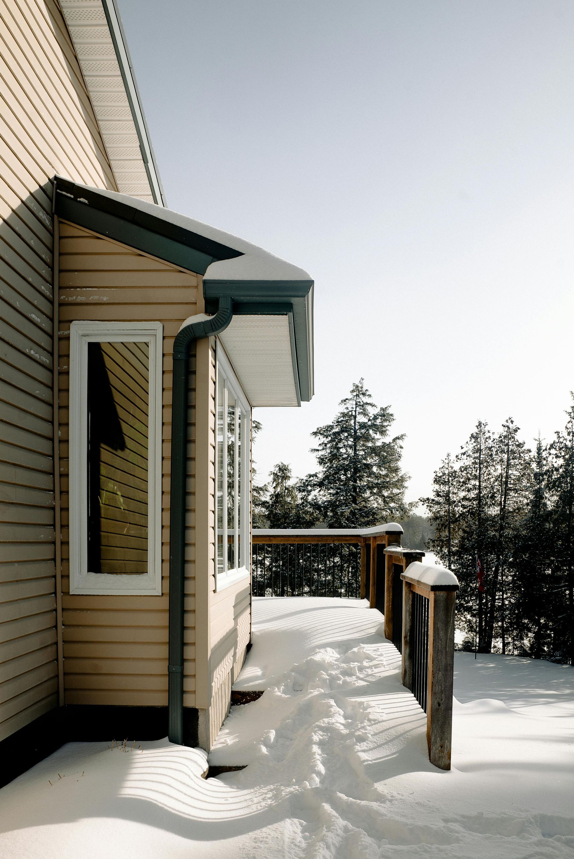 Snowy deck next to a house with light yellow siding, white window, and a gray roof.  Tall pine trees in the background.