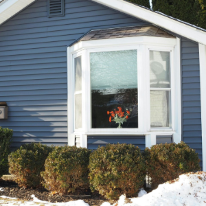 Blue house with white trim, bay window, and shrubs in front during winter.
