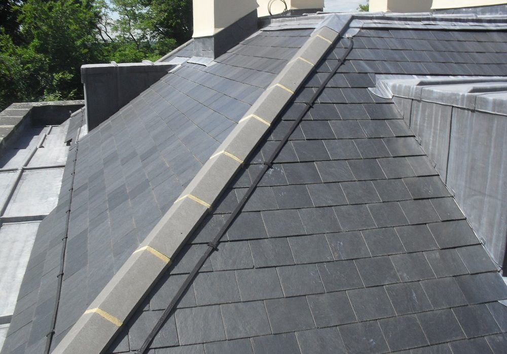 Slate roof with gray shingles and a raised seam beside a skylight and trees in the background