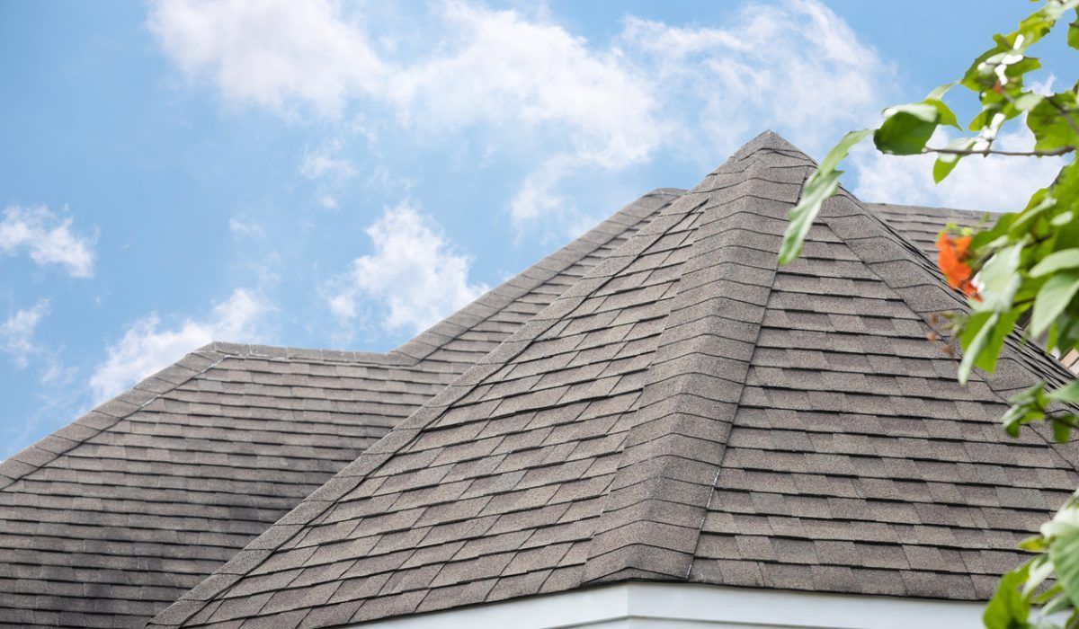Gray shingled house roof against a blue sky with clouds and green leaves in the corner