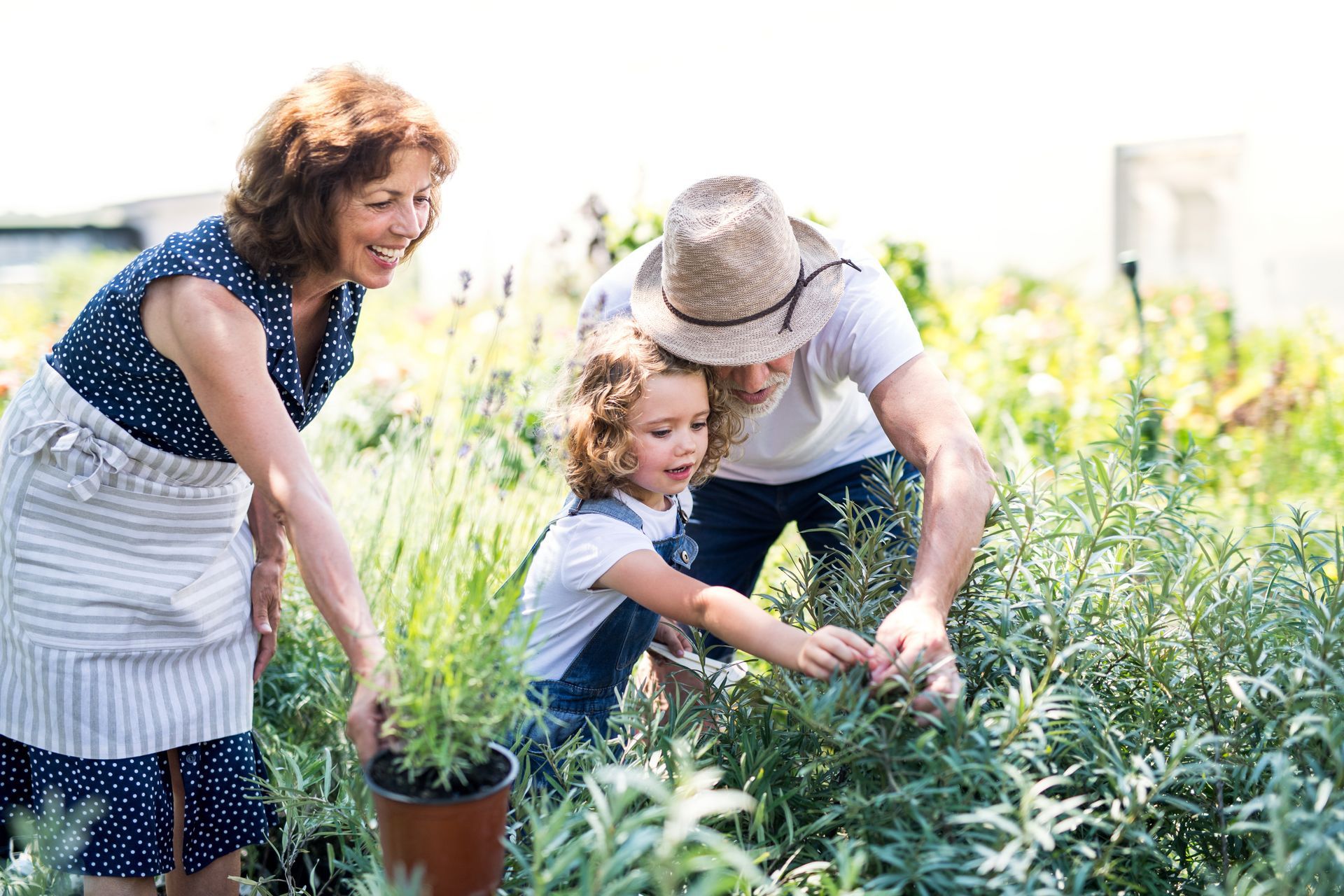 Grandparents gardening with young grandaughter teaching about the importance of smaller steps