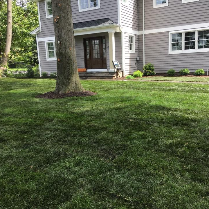 landscape contractors in Allendale