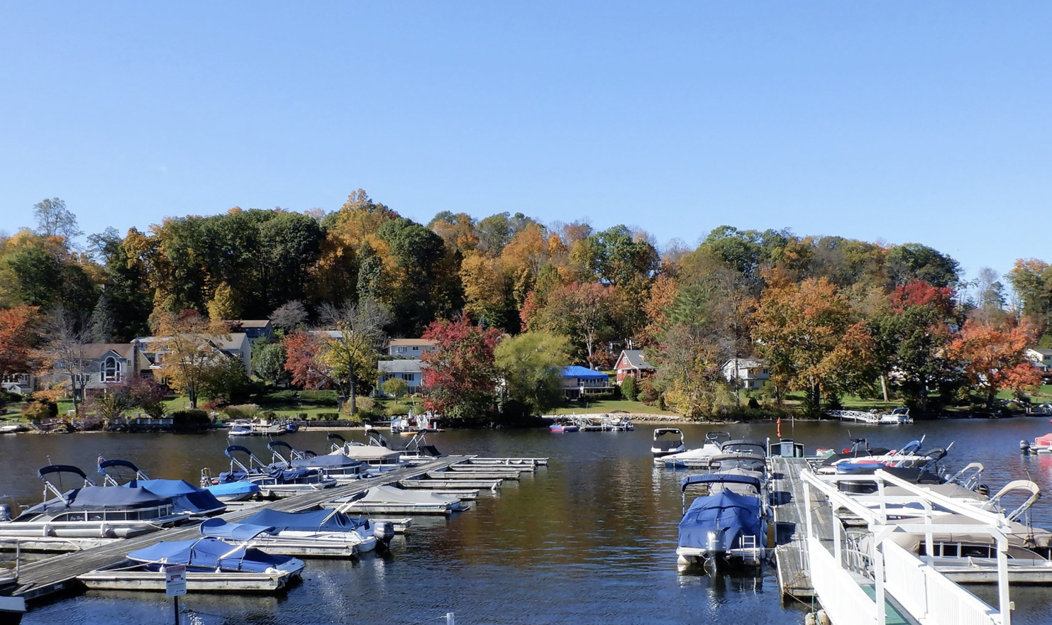A lot of boats are docked in a marina on a lake.