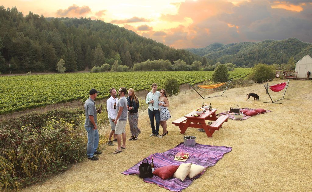 A group of people are having a picnic in a field.