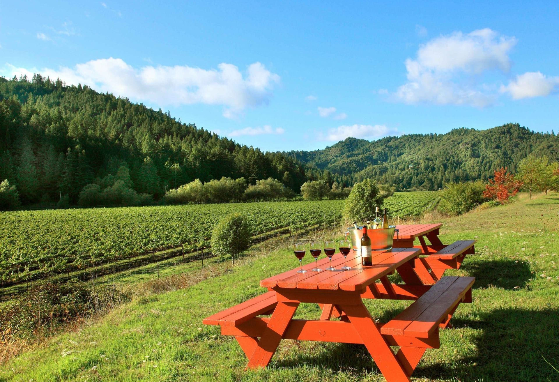 A picnic table with a bottle of wine on it in a field with mountains in the background
