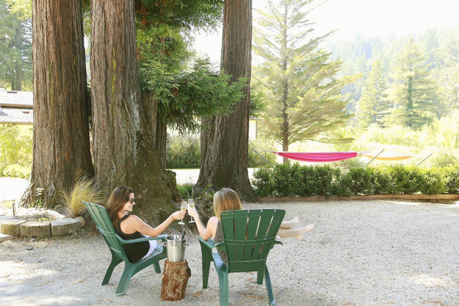Two women are sitting in green chairs drinking wine under a tree.