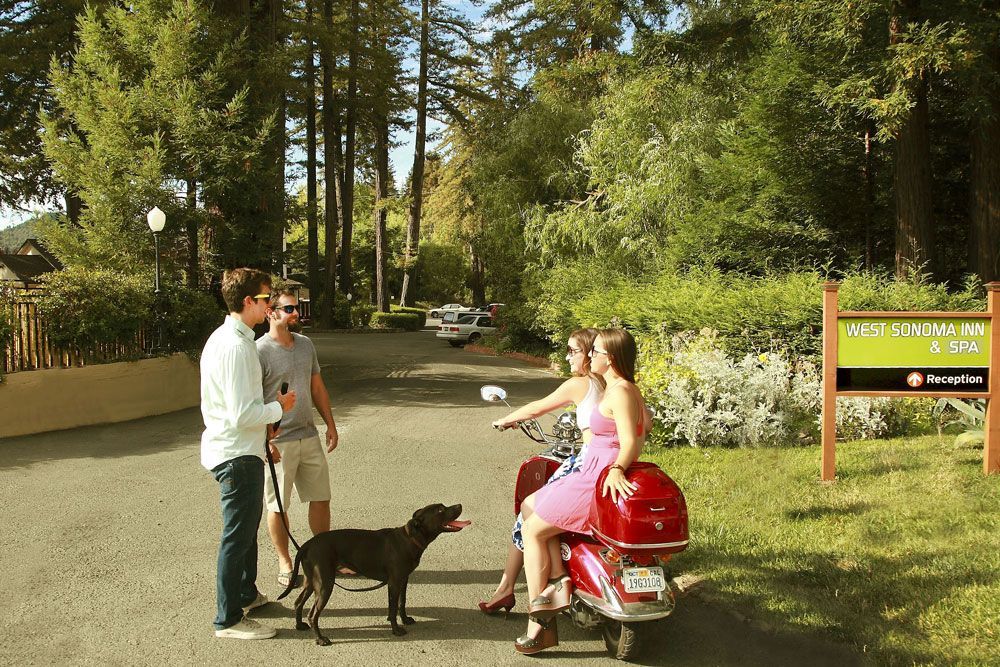 A man and two women are standing next to a dog and a scooter.