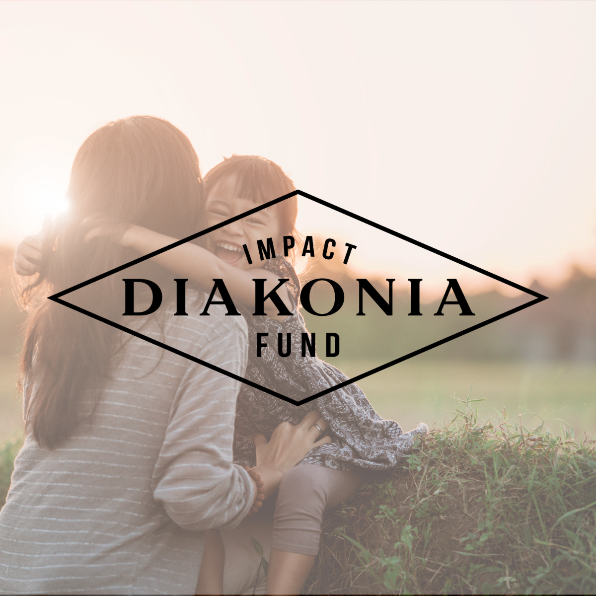 Material Handling Holding Company | Diakonia Group