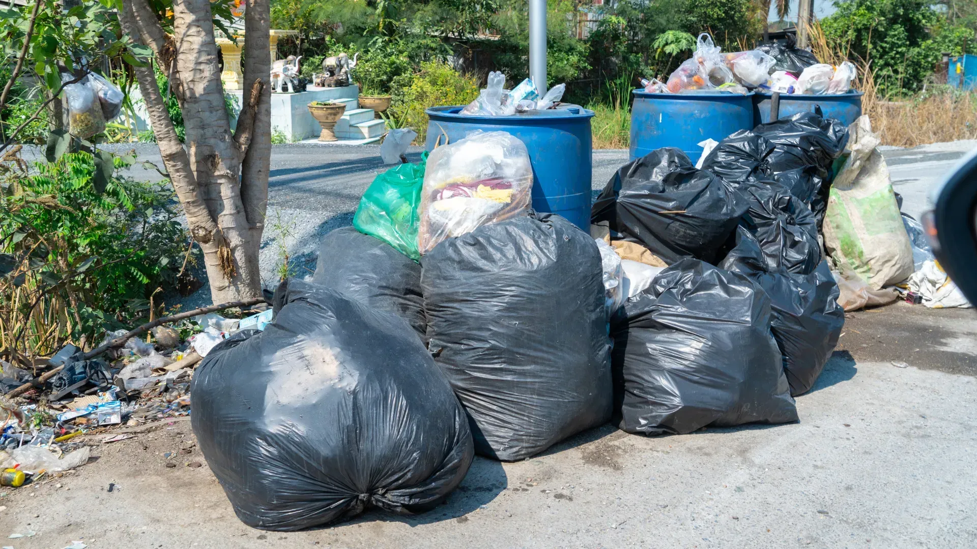 Black trash bags overflowing onto a sidewalk next to blue barrels, debris scattered around.