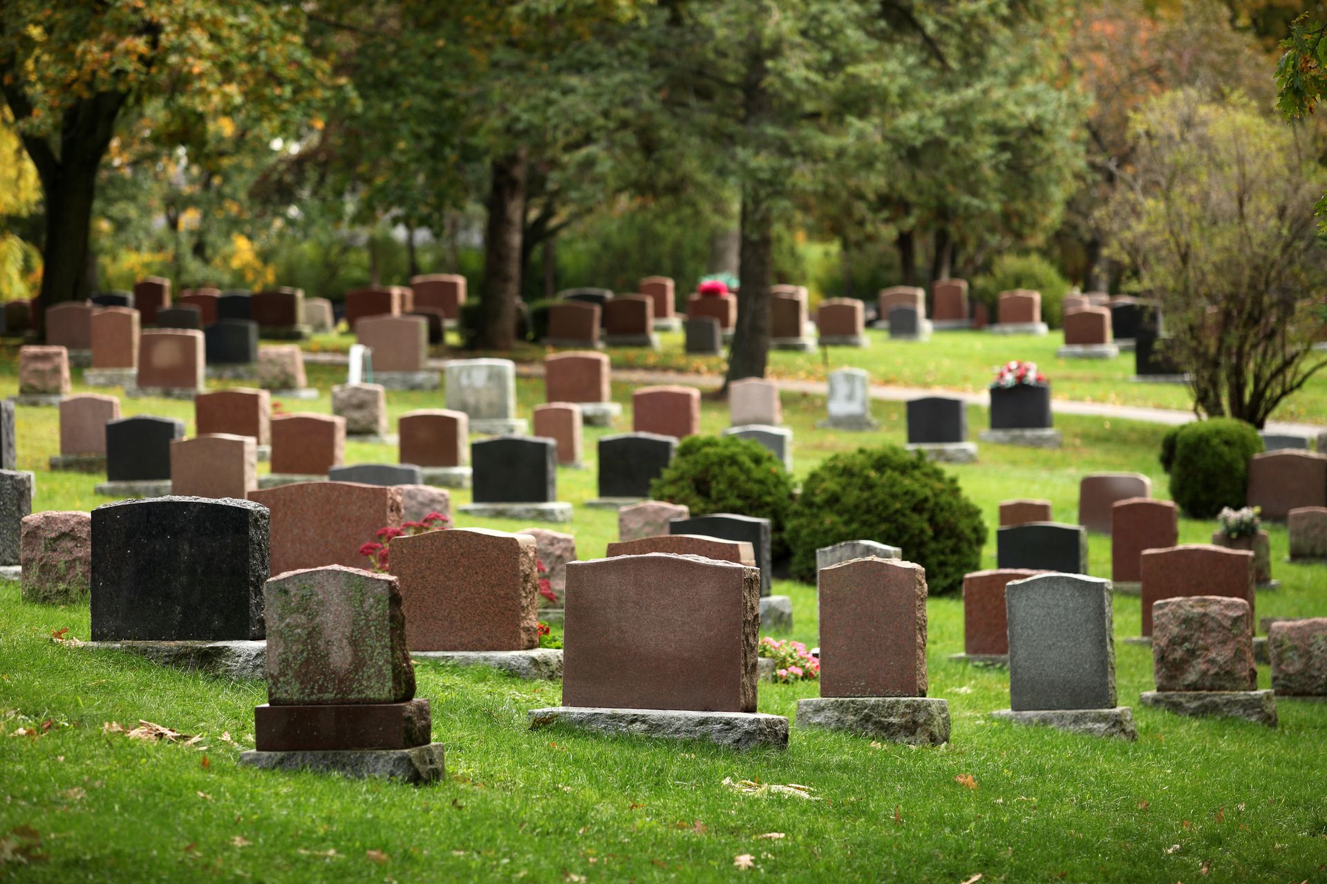 A cemetery filled with lots of graves and trees