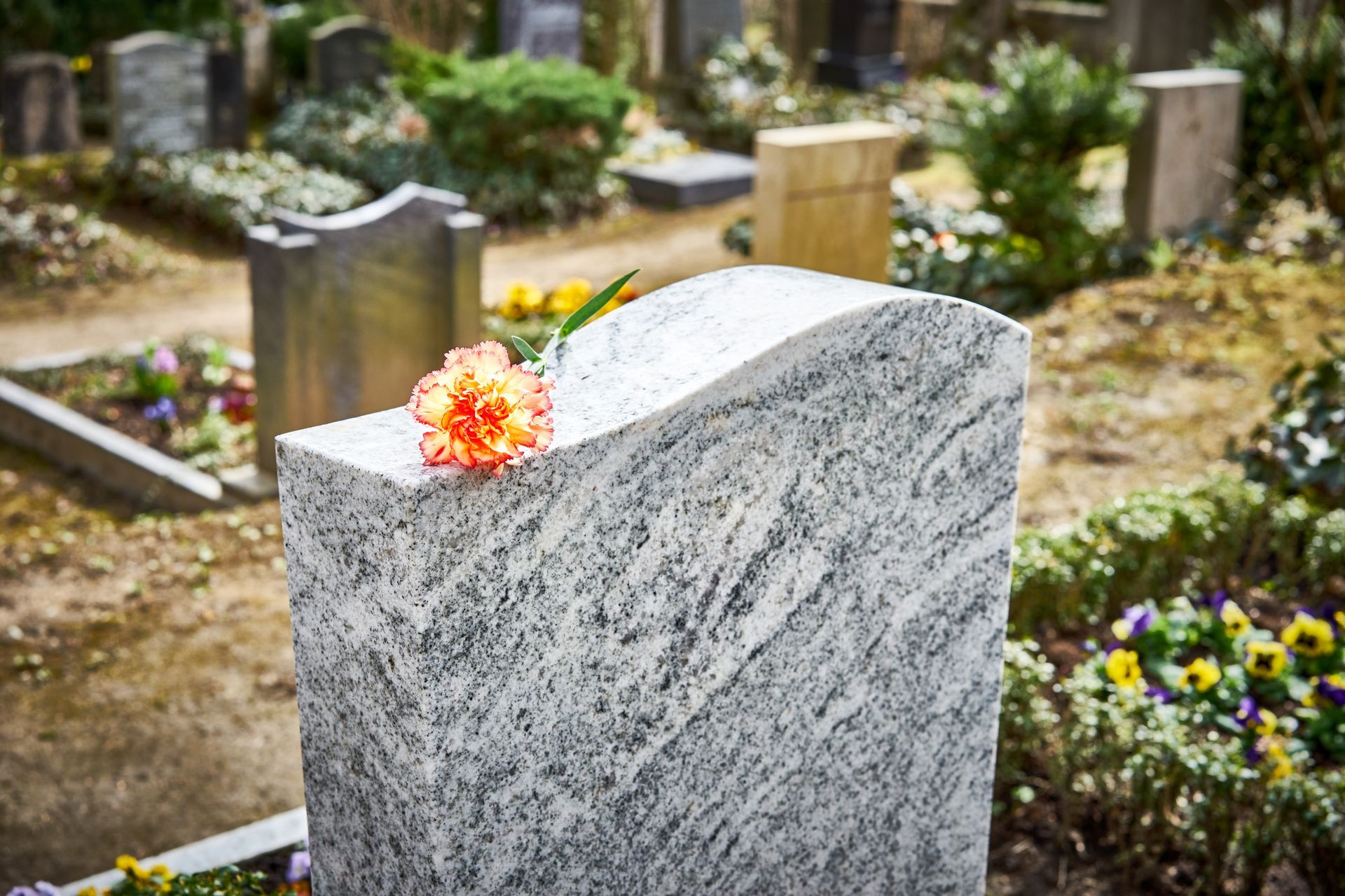A gravestone with a flower on it in a cemetery.